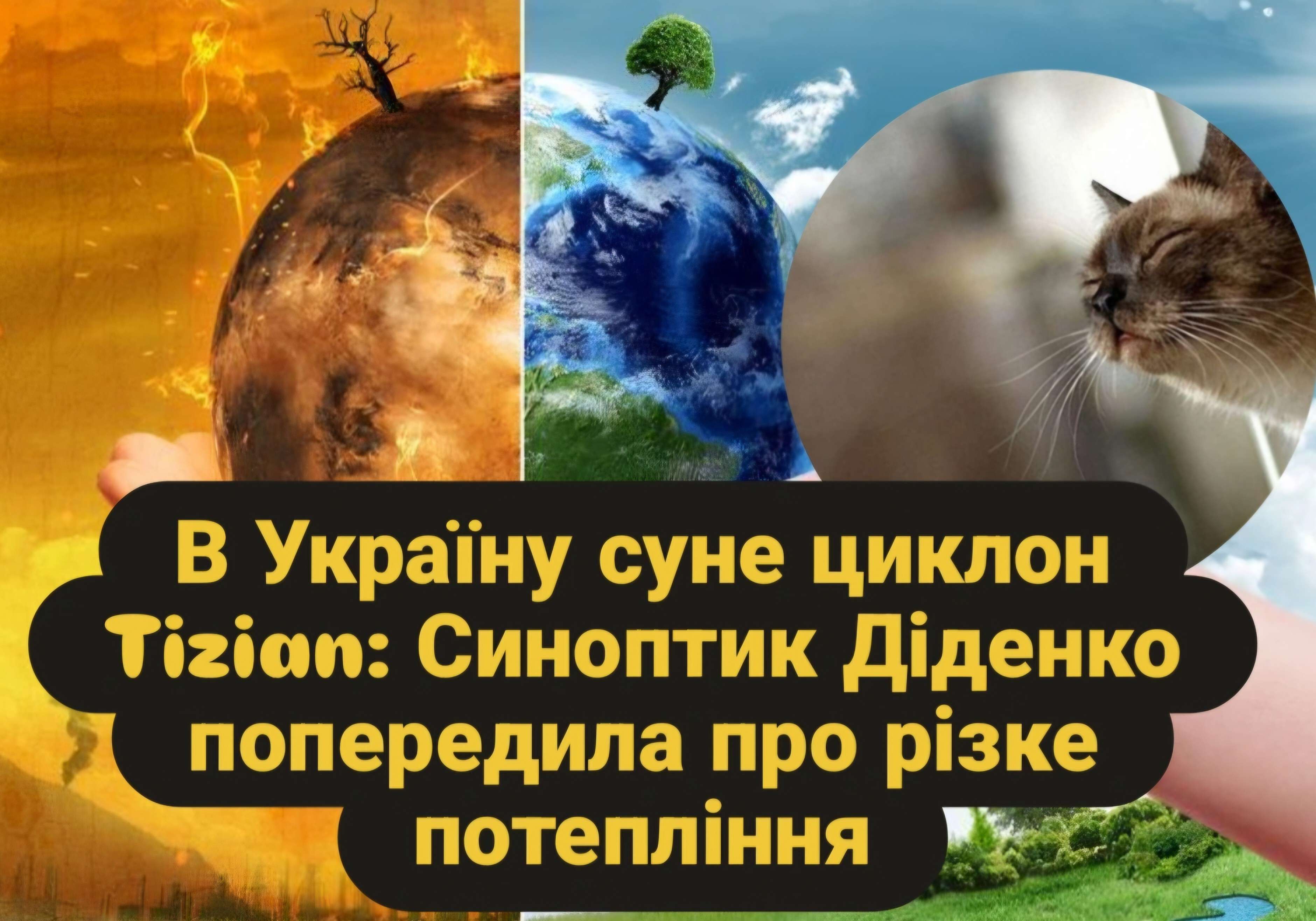 Все буде Україна