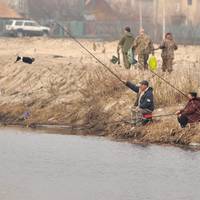 З 1 квітня в Україні заборонений вилов риби