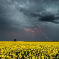 Погода на травень: до України летить буря