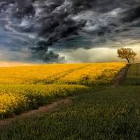 Прогноз погоди на 23 травня, на заході та сході дощитиме, решта території – сонце