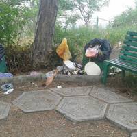 Мальовниче місце окупованого Криму перетворили на смітник: промовисті фото