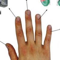 Кожен палець руки повязаний з двома органами тіла: японська 5-хвилинна методика зцілення!