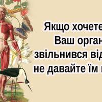 Якщо хочете, щоб Ваш організм звільнився від грибів, не давайте їм поживу!