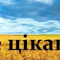 Скільки мов у світі? Цікаві факти про мови