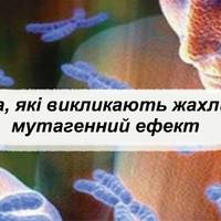 Неймовірно! Слова, які викликають жахливий мутагенний ефект