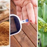 5 рослинних засобів для лікування діабету