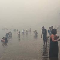 Пожежі у Греції: у Мережі показали, як люди рятуються від вогню у морі (ФОТО)