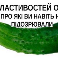 13 властивостей огірка, про які ви навіть не підозрювали