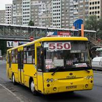 Пяний в мотлох: київський маршрутник відзначився дикою витівкою
