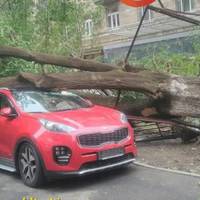 АПОКАЛІПСИС В КИЄВІ: СИНОПТИК ПОКАЗАЛА ФОТО З КОСМОСУ І НАЗВАЛА НАСТУПНІ МІСТА-“ЖЕРТВИ” (ФОТО)
