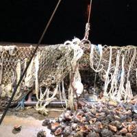 Спритний рибалка підняв з дна понад мільйон гривень!