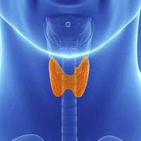 10 міфів про щитовидну залозу