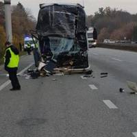 Як помирала Марина Поплавська: Уюбленицю українців з “Дизель шоу” викинуло і протягнуло... (текст 16+)