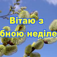 Вербна неділя: привітання та красиві листівки