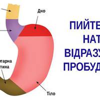 Причини, чому треба пити воду натще відразу після пробудження