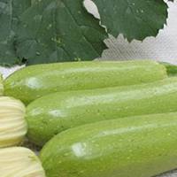 Чим корисний кабачок (цукіні) і як його готувати, щоб зберегти всю користь