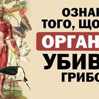 Якщо хочете, щоб Ваш організм був вільний від грибів, не давайте їм їжу!