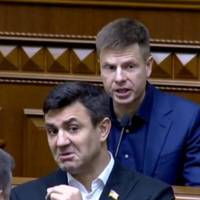 Ірина Геращенко: Такого не було в жодному парламенті. Під час виступу нашого колеги Олексія Гончаренка..