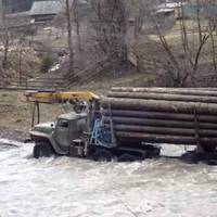 Яскрава ілюстрація вислову 