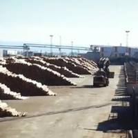 Британські журналісти-розслідувачі опублікували шoкуючу ситуацію з постачанням лісу в Європу з України.