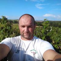 “Звертайтеся! Ягід море, а за 5 гривень здавати не хочу.” Українець запрошує до себе ЦІЛКОМ БЕЗКОШТОВНО назбирати смачної малини