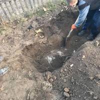 На приватному подвір’ї розкопали могильник з 5 вбитими, підозрюють росіянина