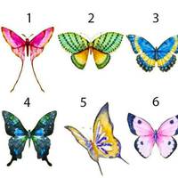 Метелик, якого ви виберете, розкаже про приховані сторони вашої особистості