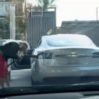 Блондинка, Tesla і бензинова заправка! Це ВІДЕО п0рвало мережу. 0бов’язково до перегляду.