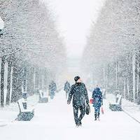Якою буде погода на Новий Рік, синоптики оновили   прогноз по всій Україні