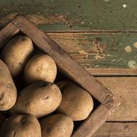 Як правильно зберігати картоплю в будинку або квартирі