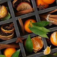 Гороскоп на 4 грудня для всіх знаків зодіаку: день, коли можуть розвинутися фобії та манії