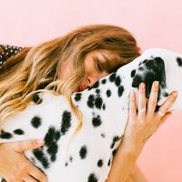 Що може домогти зменьшити кількість безпритульних тварин?