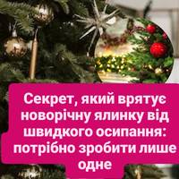 Секрет, який врятує новорічну ялинку від швидкого осипання: потрібно зробити лише одне