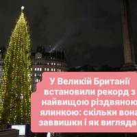 У Великій Британії встановили рекорд з найвищою різдвяною ялинкою: скільки вона заввишки і як виглядає