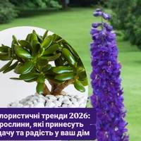 Флористичні тренди 2026: рослини, які принесуть удачу та радість у ваш дім