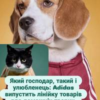 Adidas випустить лінійку товарів для домашніх тварин, ідентичних людським