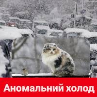 Аномальний холод повернеться до України: синоптик сказав, коли це станеться