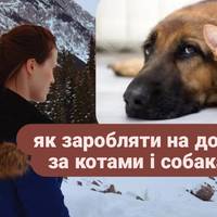 Ідеальна робота для тих, хто втомився від офісу.