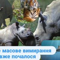 Які тварини зникнуть до 2030 року і чи є шанс їх врятувати