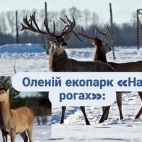 Від хобі до місії: як «На рогах» оживив деокупований край