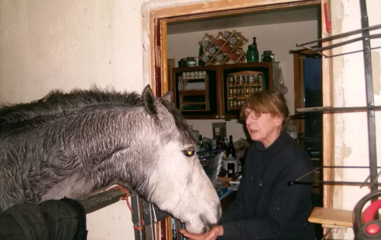 Мужчина привел коня в квартиру